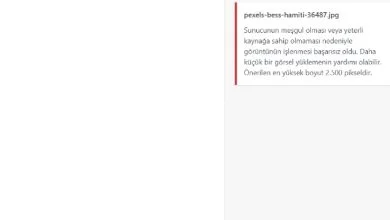 hostixo-blog-sunucunun-mesgul-olmasi-hatasi-cozumu-onerilen-resim-boyutu