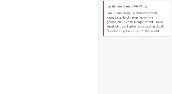 Sunucunun Meşgul Olması veya Yeterli Kaynağa Sahip Olmaması Hatası ve Çözümü 1 hostixo-blog-sunucunun-mesgul-olmasi-hatasi-cozumu-onerilen-resim-boyutu