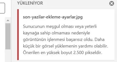 hostixo-blog-sunucunun-mesgul-olmasi-hatasi-neden-kaynaklanir