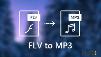 FLV Dosyalarını MP3'ye Dönüştürme Yöntemi 3