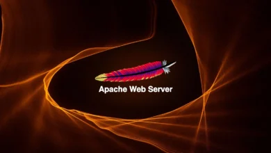 Apache Nedir? Apache Web Sunucusu Hakkında Bilgi 1