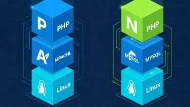 LAMP ve LEMP Stack Nedir? Kapsamlı Rehber 1