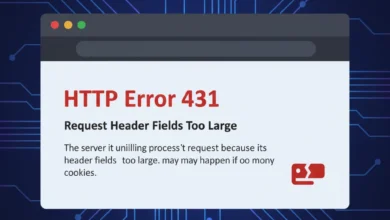 HTTP Error 431: Neden Ortaya Çıkar ve Nasıl Düzeltilir? 4