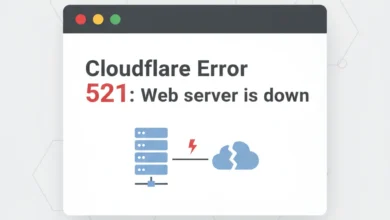 Cloudflare Error 521: Neden Ortaya Çıkar ve Çözüm Yolları 5