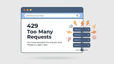 429 Hatası: Nedir, Neden Oluşur ve Nasıl Çözülür? 3
