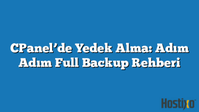 CPanel’de Yedek Alma: Adım Adım Full Backup Rehberi