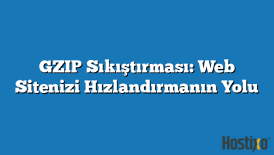GZIP Sıkıştırması: Web Sitenizi Hızlandırmanın Yolu