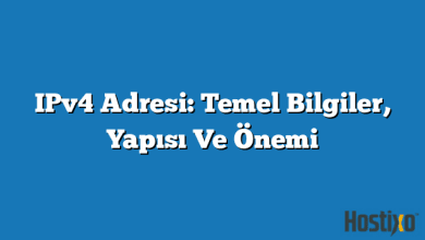 IPv4 Adresi: Temel Bilgiler, Yapısı Ve Önemi