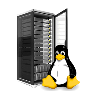 linux hosting